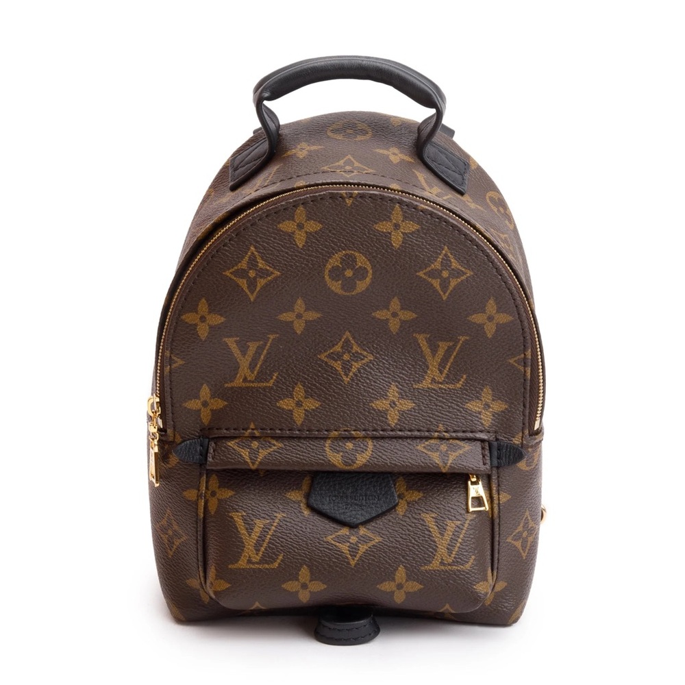 Louis Vuitton Brown Monogram Mini Palm Springs Backpack